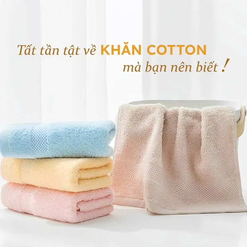 Sản phẩm anh dai dien ve khan cotton — Khăn Bông Nam Phong - Công Ty CP Xuất Nhập Khẩu Dệt May Nam Phong — MST 1102029835