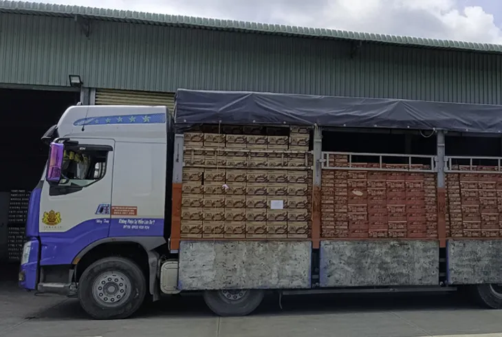 Sản phẩm van chuyen hang sieu thi uy tin 3785 — Công Ty TNHH Vận Tải An Toàn Việt — MST 1102044142