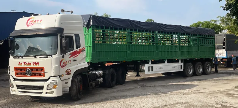 Sản phẩm vantaiatv slide xe container 9253 — Công Ty TNHH Vận Tải An Toàn Việt — MST 1102044142