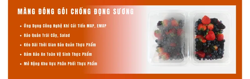 Sản phẩm  4719_1570x500 — Giải Pháp Đóng Gói Noya Pack - Công Ty TNHH Thương Mại Và Dịch Vụ Kỹ Thuật Noya
Pack — MST 1102053242