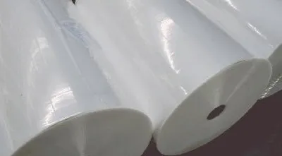 Sản phẩm Untitled 1 — Bao Bì Tiền Giang - Công Ty Cổ Phần Bao Bì Tiền Giang — MST 1200568151