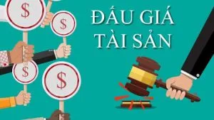Sản phẩm daugia 300x169 — Bao Bì Tiền Giang - Công Ty Cổ Phần Bao Bì Tiền Giang — MST 1200568151