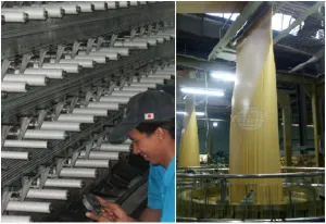 Sản phẩm Untitled 300x206 — Bao Bì Tiền Giang - Công Ty Cổ Phần Bao Bì Tiền Giang — MST 1200568151
