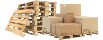 Sản phẩm 12 6230 — Pallet Miền Nam — MST 1201460760