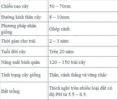 Sản phẩm buoi da xanh ghep 3 — Công Ty TNHH MTV Thế giới Cây Giống — MST 1201489551