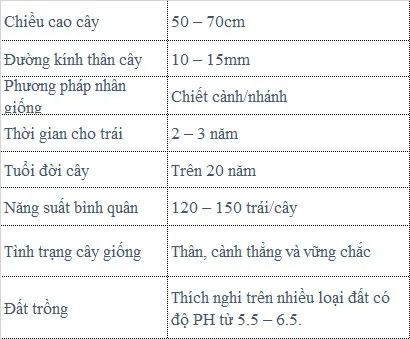 Sản phẩm z3529146457892_3c6298e18c1b0eb786c6eb8fc21a35a6 — Công Ty TNHH MTV Thế giới Cây Giống — MST 1201489551