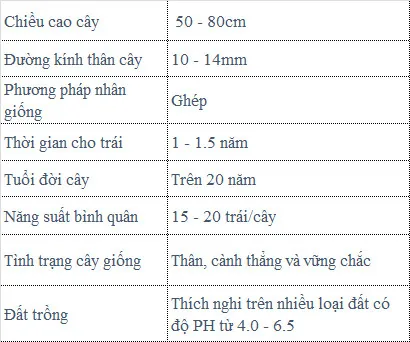 Sản phẩm Mit thai 1 14 — Công Ty TNHH MTV Thế giới Cây Giống — MST 1201489551