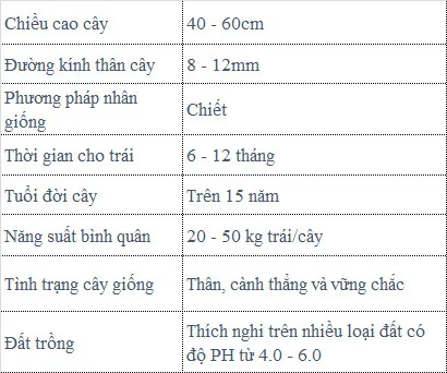Sản phẩm Oi — Công Ty TNHH MTV Thế giới Cây Giống — MST 1201489551