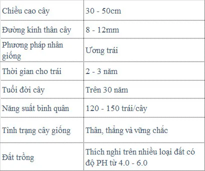 Sản phẩm cay dua — Công Ty TNHH MTV Thế giới Cây Giống — MST 1201489551