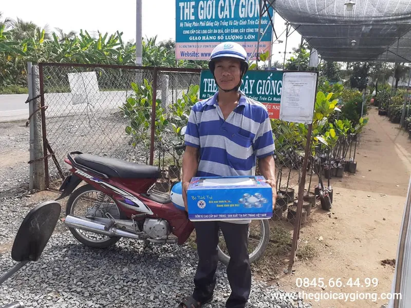Sản phẩm hinh kh TGCG 3 — Công Ty TNHH MTV Thế giới Cây Giống — MST 1201489551