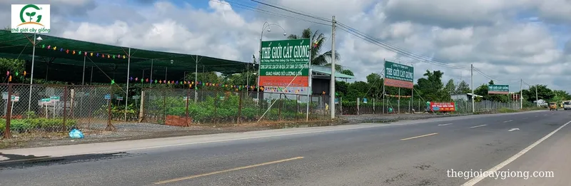 Sản phẩm the gioi cay giong — Công Ty TNHH MTV Thế giới Cây Giống — MST 1201489551