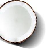 Sản phẩm count3 dv — Dừa Betrimex - Công Ty Cổ Phần Xuất Nhập Khẩu Bến Tre — MST 1300104040