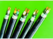 Sản phẩm cap dien ke muller 6ff9816a — Điện Đại Phú - Công Ty Trách Nhiệm Hữu Hạn Một Thành Viên Xây Dựng Điện Đại Phú — MST 1300982616