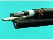 Sản phẩm cap van xoan trung the mv abc ff55906e — Điện Đại Phú - Công Ty Trách Nhiệm Hữu Hạn Một Thành Viên Xây Dựng Điện Đại Phú — MST 1300982616