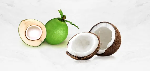 Sản phẩm 2 san pham tu dua — Sản Phẩm Xơ Dừa Sao Việt - Công Ty TNHH Nông Sản Sao Việt — MST 1300989273