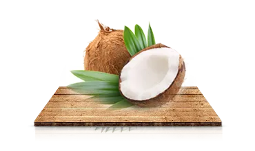 Sản phẩm 5 chat luong san pham — Sản Phẩm Xơ Dừa Sao Việt - Công Ty TNHH Nông Sản Sao Việt — MST 1300989273