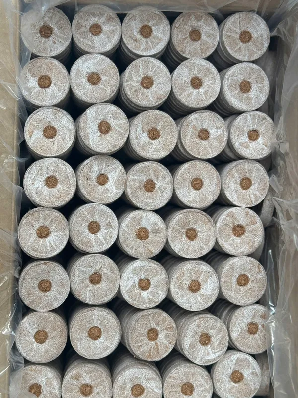 Sản phẩm 59 vien nen xo dua — Sản Phẩm Xơ Dừa Sao Việt - Công Ty TNHH Nông Sản Sao Việt — MST 1300989273