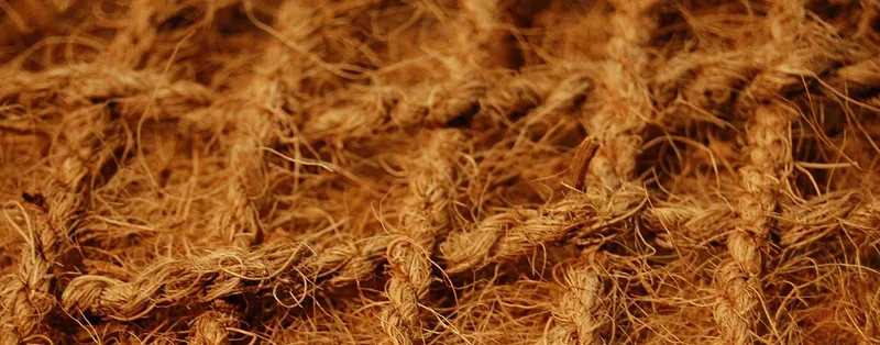 Sản phẩm 7 3 — Sản Phẩm Xơ Dừa Sao Việt - Công Ty TNHH Nông Sản Sao Việt — MST 1300989273
