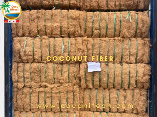 Sản phẩm COIR FIBER 5 535x400 — Xơ Dừa Coco Hitech - Công Ty TNHH Xuất Khẩu Nhập Khẩu Coco Hitech — MST 1301087969