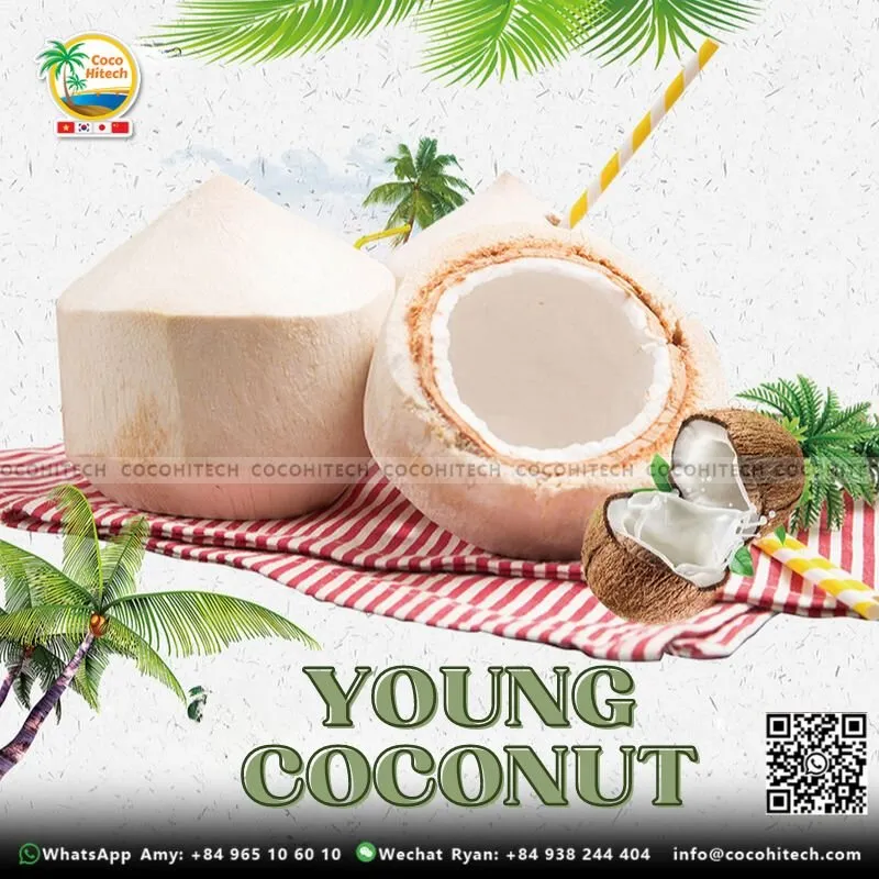Sản phẩm VIET NAM YOUNG COCONUT 1 — Xơ Dừa Coco Hitech - Công Ty TNHH Xuất Khẩu Nhập Khẩu Coco Hitech — MST 1301087969