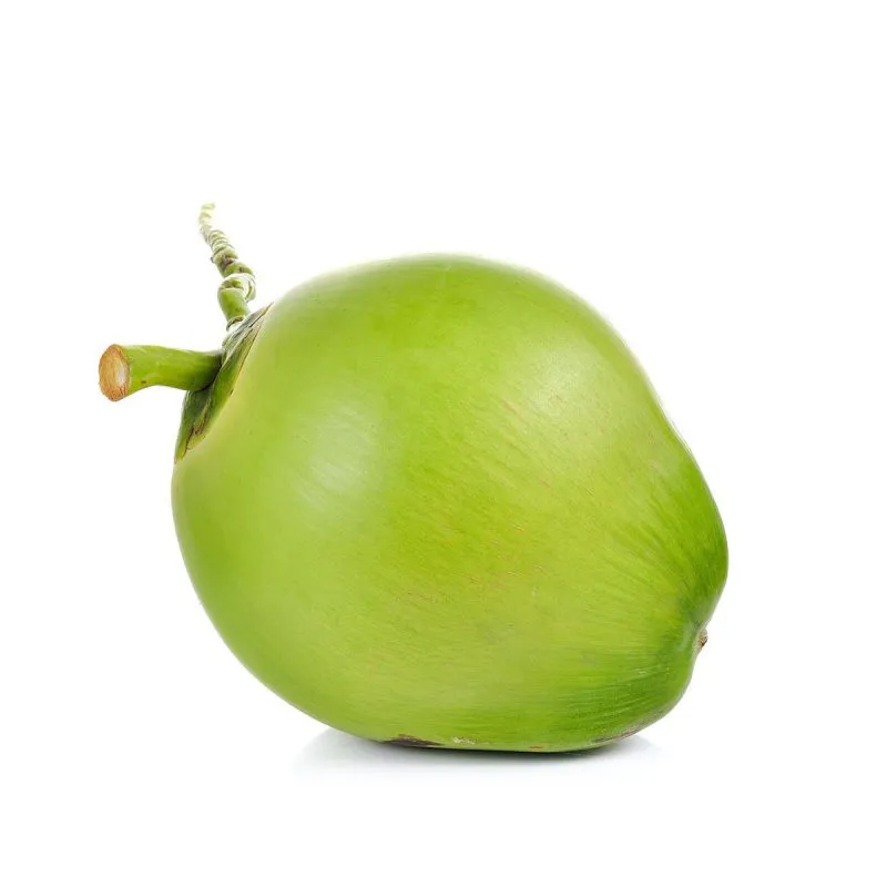 Sản phẩm Young Coconut 4 800x800 — Xơ Dừa Coco Hitech - Công Ty TNHH Xuất Khẩu Nhập Khẩu Coco Hitech — MST 1301087969