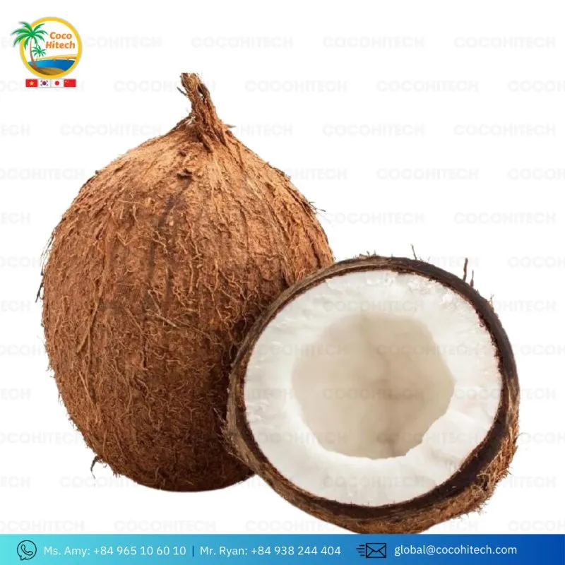 Sản phẩm z5538041070435_189adac9a66c85625518eb7a6b0f7bb0 800x800 — Xơ Dừa Coco Hitech - Công Ty TNHH Xuất Khẩu Nhập Khẩu Coco Hitech — MST 1301087969