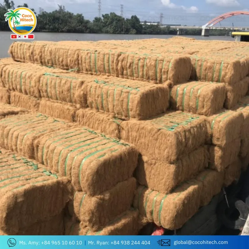 Sản phẩm z5538070449764_6068b16dacaeb123b4a330fdb8be0be9 800x800 — Xơ Dừa Coco Hitech - Công Ty TNHH Xuất Khẩu Nhập Khẩu Coco Hitech — MST 1301087969