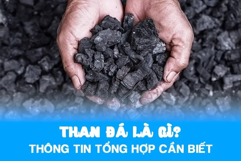 Sản phẩm Than da la gi Tinh chat va Vai tro cua than da trong cuoc song — Công Ty TNHH Viettech Boiler — MST 1301102430