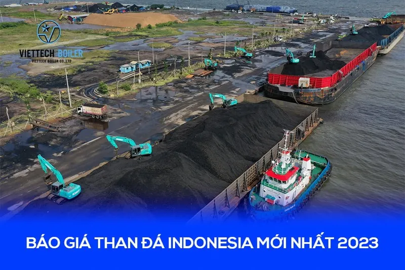 Sản phẩm Bao gia than da Indonesia moi nhat 2023 — Công Ty TNHH Viettech Boiler — MST 1301102430
