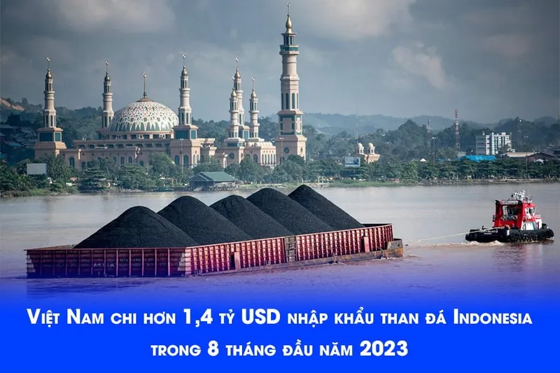 Sản phẩm Viet Nam chi hon 14 ty USD nhap khau than da Indonesia trong 8 thang dau nam 2023 — Công Ty TNHH Viettech Boiler — MST 1301102430