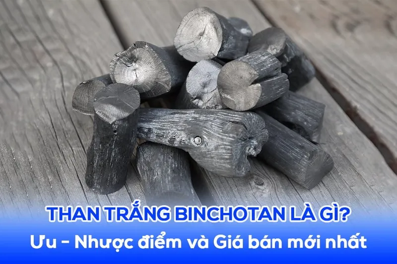 Sản phẩm Than Trang Binchotan Uu diem va Gia ban moi nhat — Công Ty TNHH Viettech Boiler — MST 1301102430