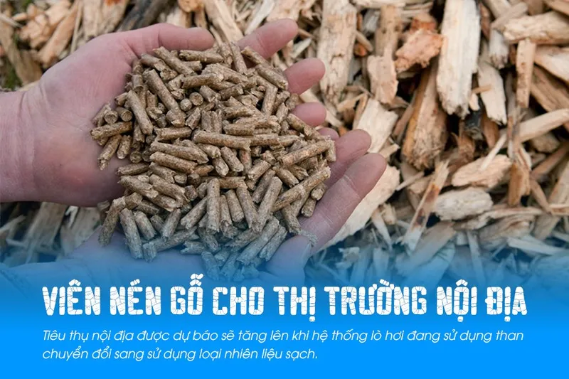 Sản phẩm Vien nen go cho thi truong noi dia duoc du bao se tang trong thoi gian toi — Công Ty TNHH Viettech Boiler — MST 1301102430