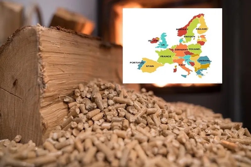 Sản phẩm EU la thi truong xuat khau vien nen dung thu ba cua Viet Nam — Công Ty TNHH Viettech Boiler — MST 1301102430