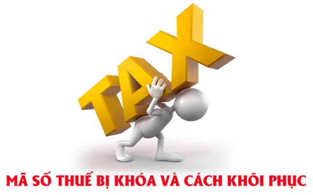 Sản phẩm huong dan thu tuc dang ky cap ma so thue nha thau nuoc ngoai 254 640x400 — Kế Toán Thuế Bến Tre Vivian - Công Ty TNHH Tư Vấn Dịch Vụ Vivian — MST 1301114919
