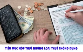 Sản phẩm slp 1 — Kế Toán Thuế Bến Tre Vivian - Công Ty TNHH Tư Vấn Dịch Vụ Vivian — MST 1301114919