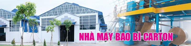 Sản phẩm 266231894025425vi_960x232 — In Đồng Tháp - Công Ty CP In & Bao Bì Đồng Tháp — MST 1400102431