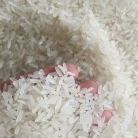 Sản phẩm 936072712832_280x280 — Gạo Phát Tài - Công Ty TNHH Phát Tài — MST 1400105785