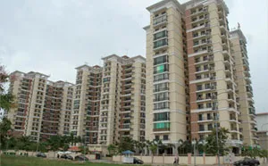 Sản phẩm service_2 — Công Ty CP Đầu Tư Phát Triển Nhà Và Khu Công Nghiệp Đồng Tháp — MST 1400404009