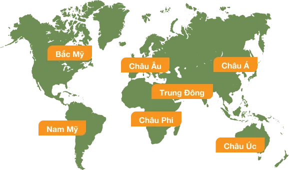 Sản phẩm map world 4 — Công Ty Cổ Phần Xuất Nhập Khẩu Sa Giang — MST 1400469817