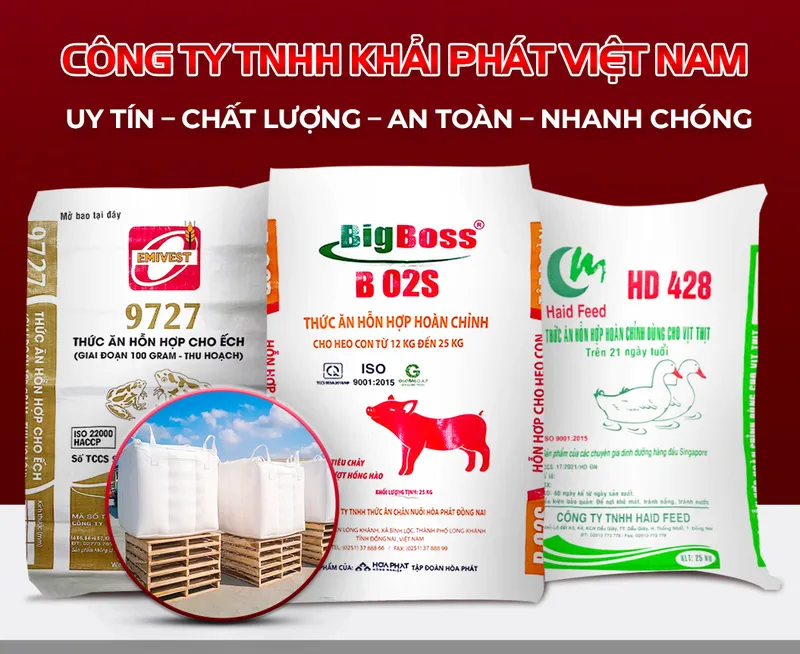 Sản phẩm Intro — Bao Bì Khải Phát - Công Ty TNHH Khải Phát Việt Nam — MST 1402066154