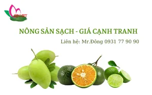 Sản phẩm NONG SAN SACH  — Hợp Tác Xã Sen Việt — MST 1402123028