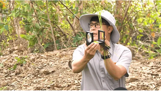 Sản phẩm 100519111629326_hinh 1 — Công Ty Cổ Phần Tập Đoàn Lộc Trời — MST 1600192619