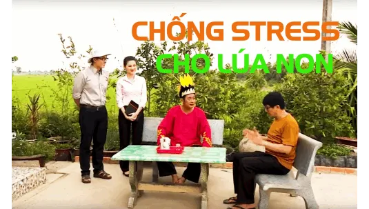 Sản phẩm 170719040426487_Chong stress cho lua non — Công Ty Cổ Phần Tập Đoàn Lộc Trời — MST 1600192619
