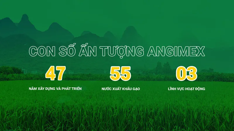 Sản phẩm web jpg 20230208144343xwwf18Kg9R — Gạo Angimex - Công Ty CP Xuất Nhập Khẩu An Giang — MST 1600230737