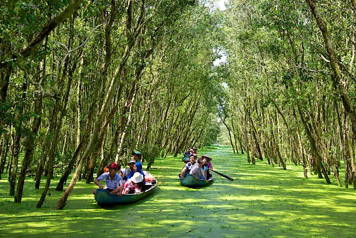 Sản phẩm rungtram — Công Ty TNHH Nhà Hàng Khách Sạn Châu Phố — MST 1600779742