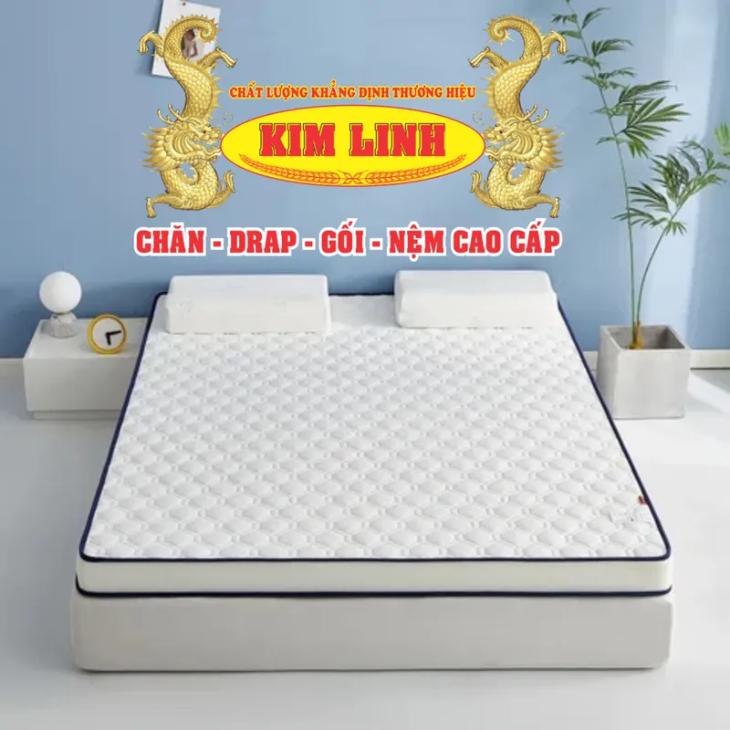 Sản phẩm a9a8aec17b8b0a28028a262fa5e996fc — Công Ty TNHH Một Thành Viên Sản Xuất Thương Mại Nệm Kim Linh — MST 1602018969