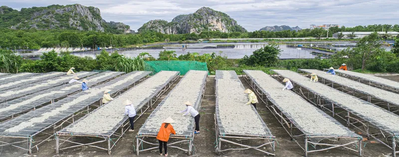Sản phẩm 1754638412 — Công Ty Cổ Phần Xuất Nhập Khẩu Kiên Giang — MST 1700100989
