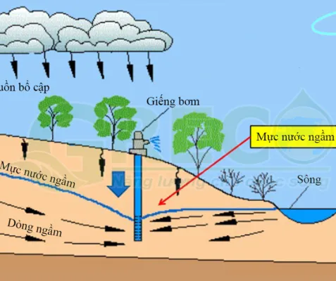 Sản phẩm 44 477x400 — Xử Lý Nước Tài Nguyên Xanh - Công Ty TNHH Môi Trường Tài Nguyên Xanh — MST 1701234495
