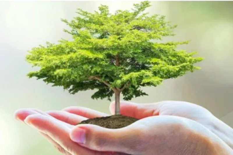 Sản phẩm GRECO10 — Xử Lý Nước Tài Nguyên Xanh - Công Ty TNHH Môi Trường Tài Nguyên Xanh — MST 1701234495