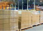 Sản phẩm cachxephanghoatrenpalletantoan 3110 — Vận Tải Kokoda - Công Ty TNHH Kokoda Việt Nam — MST 1702087892
